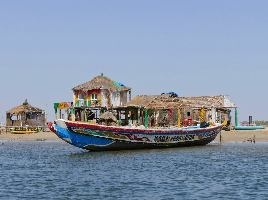 Parc National du Delta du Saloum景点图片