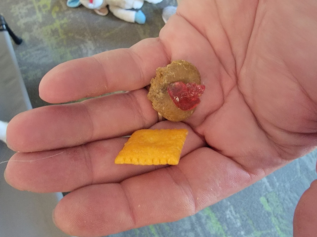 Hampton Inn & Suites Sioux City/south主图