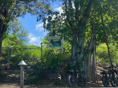 Captain Larry's Ebikes Tours & Rentals-布里奇顿必去景点