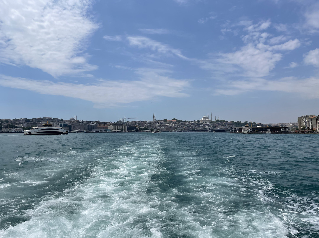 Istanbul Bosphorus Cruise-伊斯坦布尔必去景点