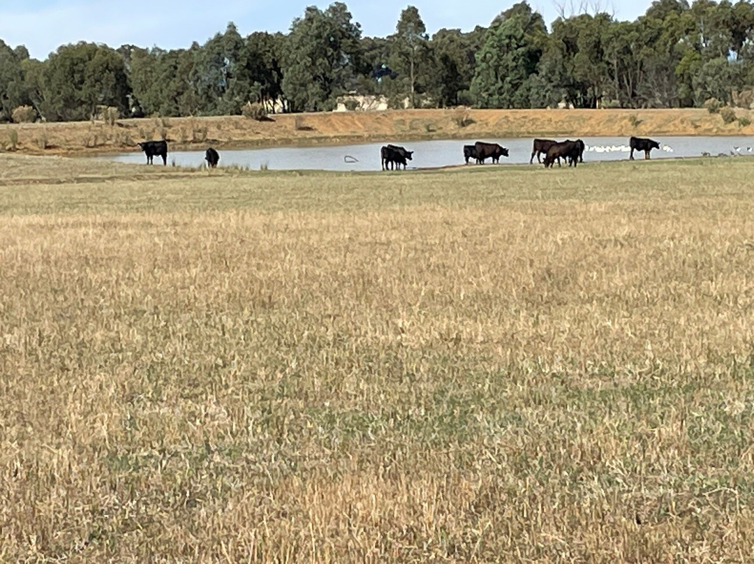 Mount Ophir Estate主图