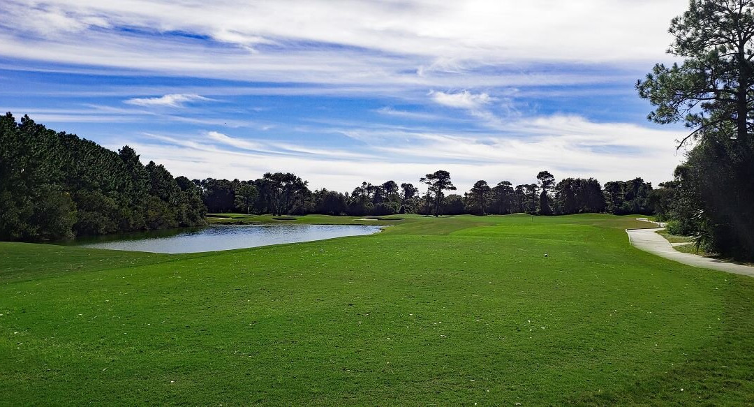 The Amelia River Club-阿米莉亚岛必去景点