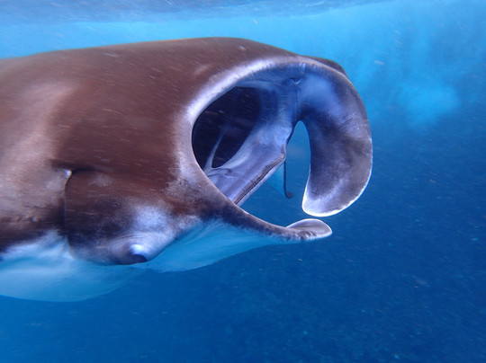Discover Nusa Penida-珀尼达岛必去景点