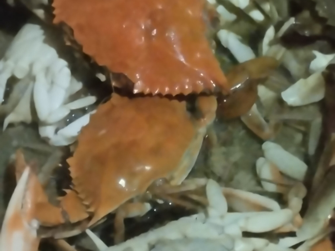 Naufragados Beach-弗洛里亚诺波利斯必去景点