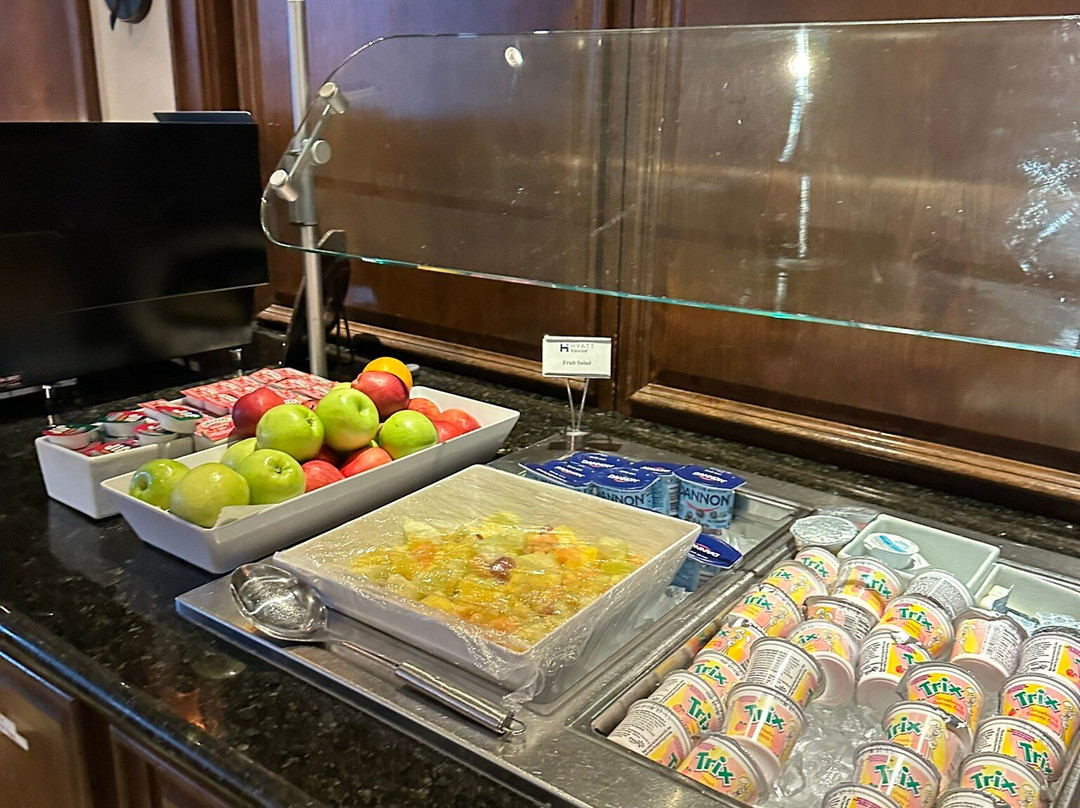 布兰奇堡凯悦酒店主图