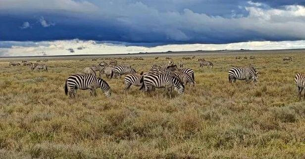 loveafricaexpedition-莫西必去景点