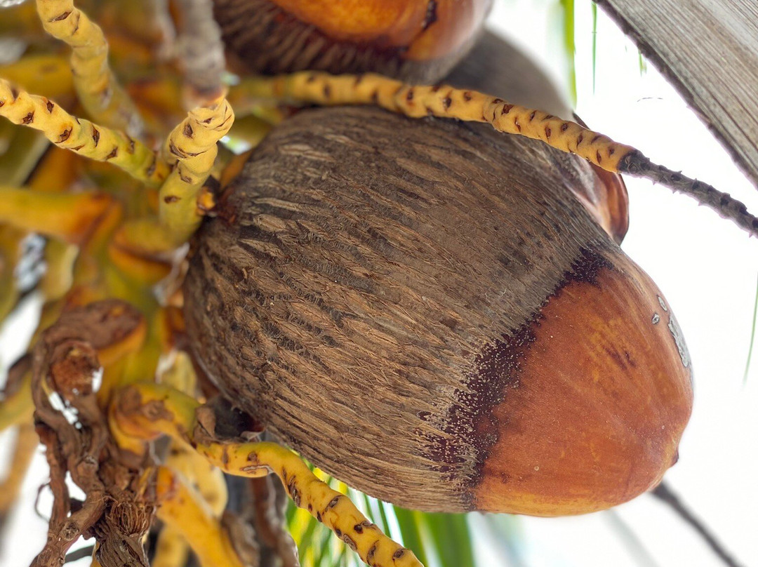 Hotel San Julio主图