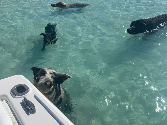 Tours R Us-George Town必去景点