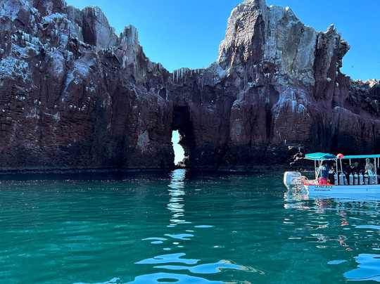 Lobitos Seafari-拉巴斯必去景点