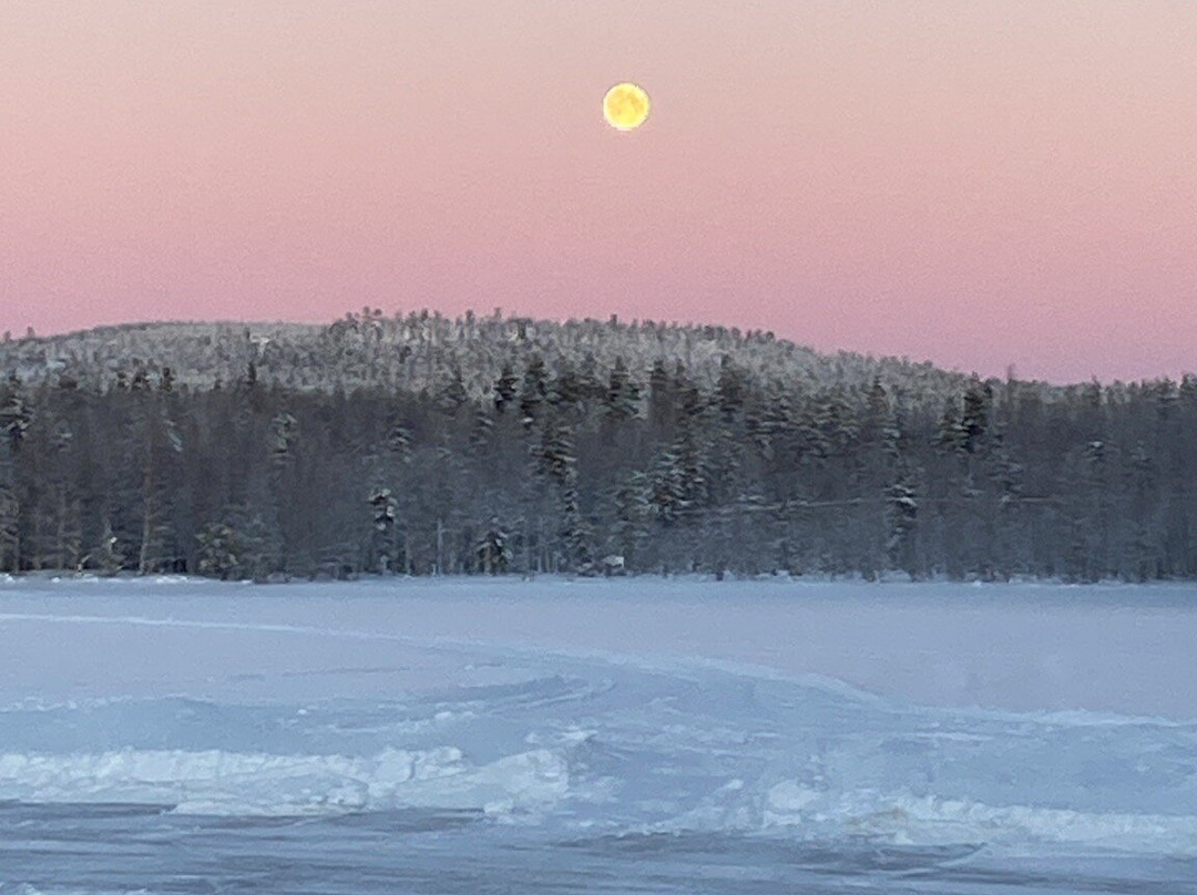 Aurora eMotion - Electric Snowmobile Safaris-罗瓦涅米必去景点