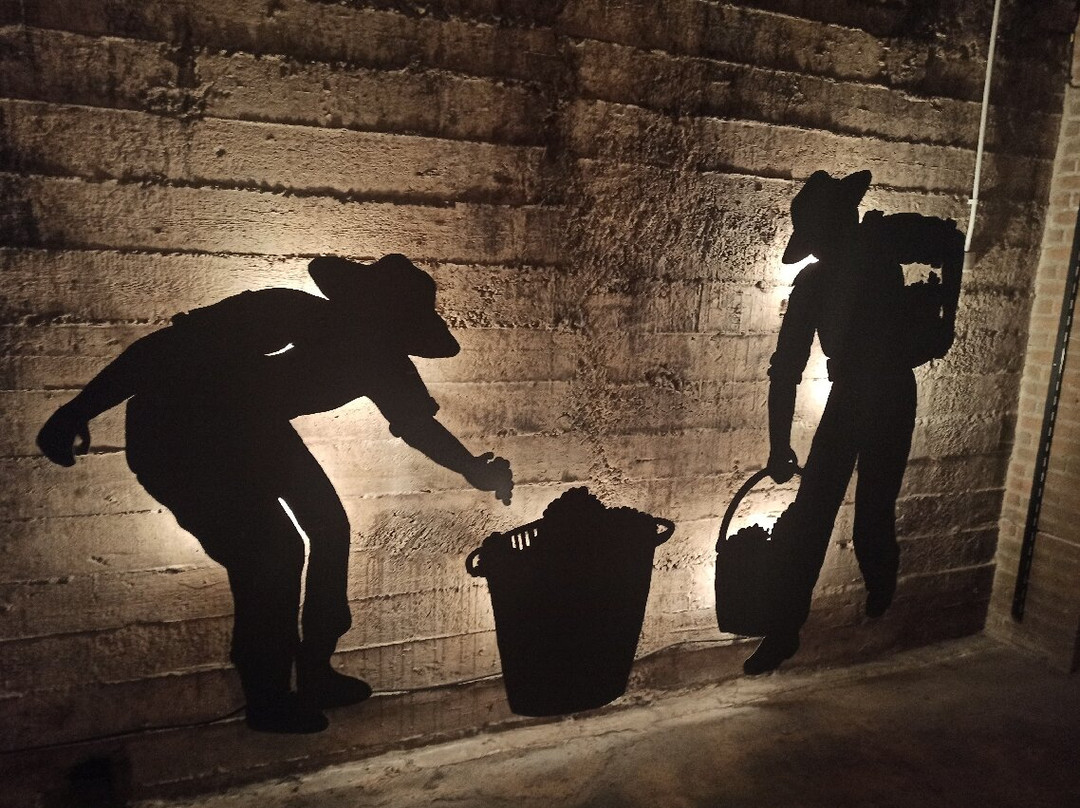 Caves Anna d’ Codorniu景点图片