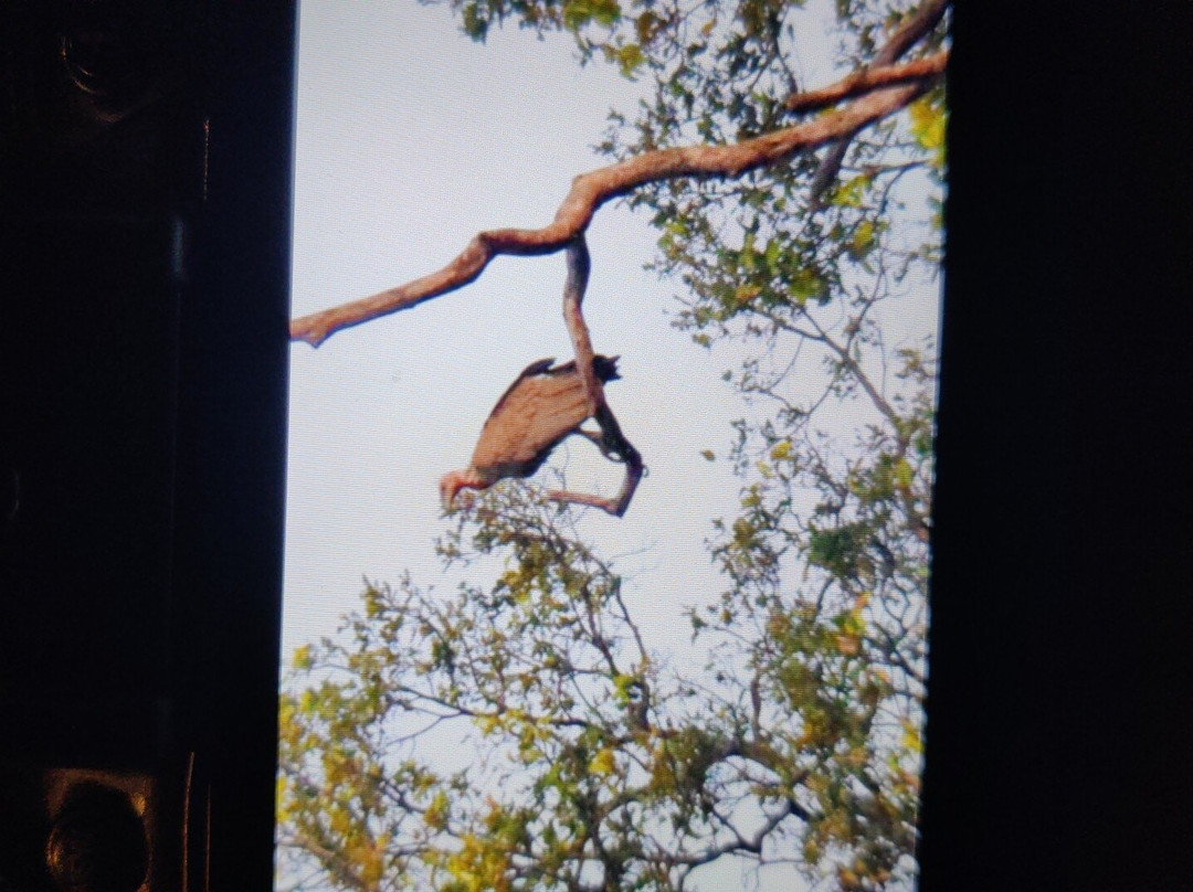 Tiger Trails Resort主图