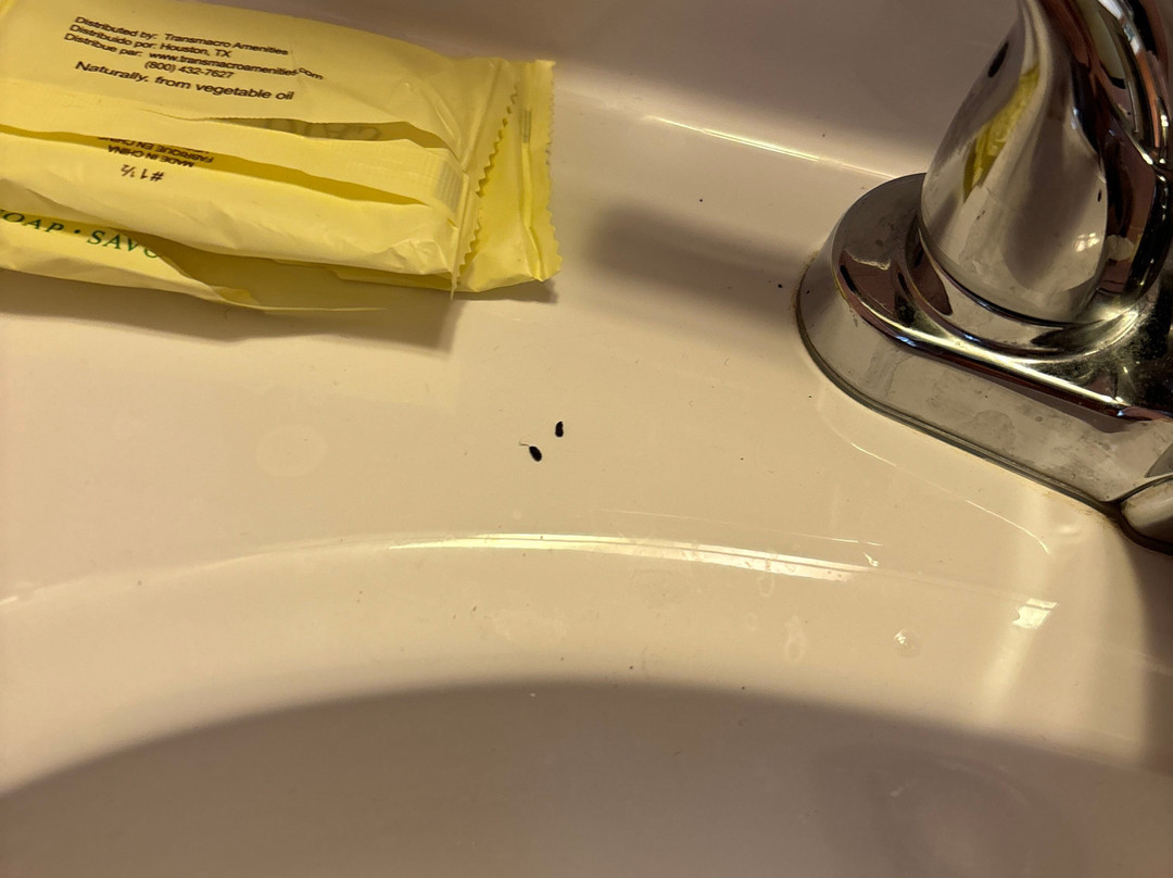 Mountain Brook Lodge主图