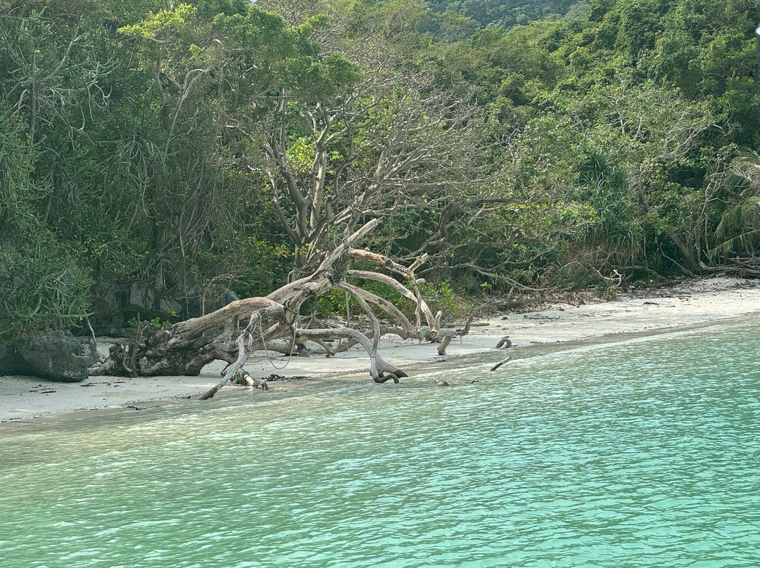 Private speed boat for you-湄南必去景点