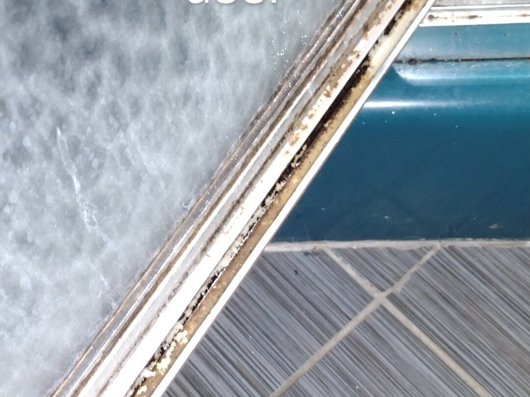 Quality Inn Reidsville Hwy 29主图