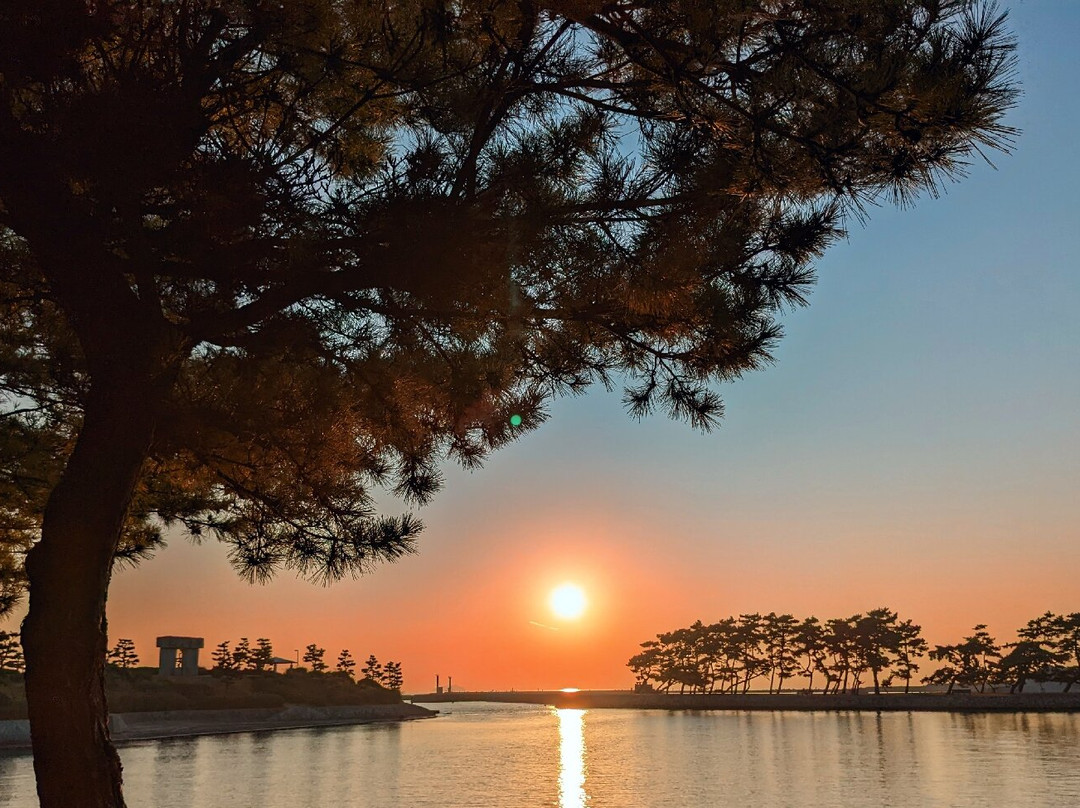Takasago Seaside Park-高砂市必去景点