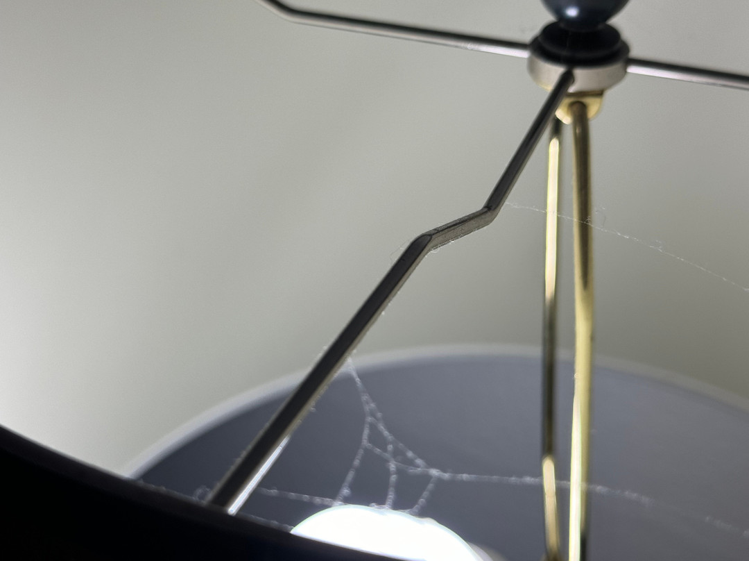 哈瓦苏湖戴斯酒店主图