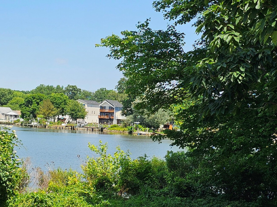Cox Point Park-Essex必去景点