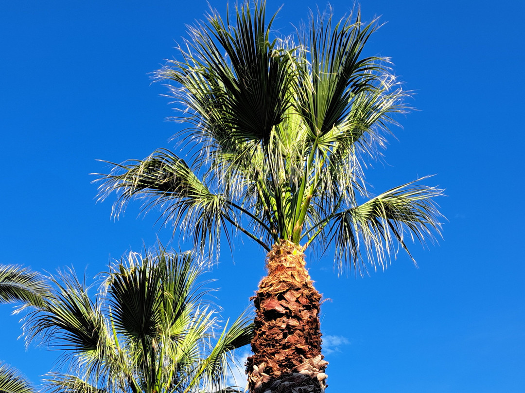 Hotel Pyrgos Boutique & Suites主图