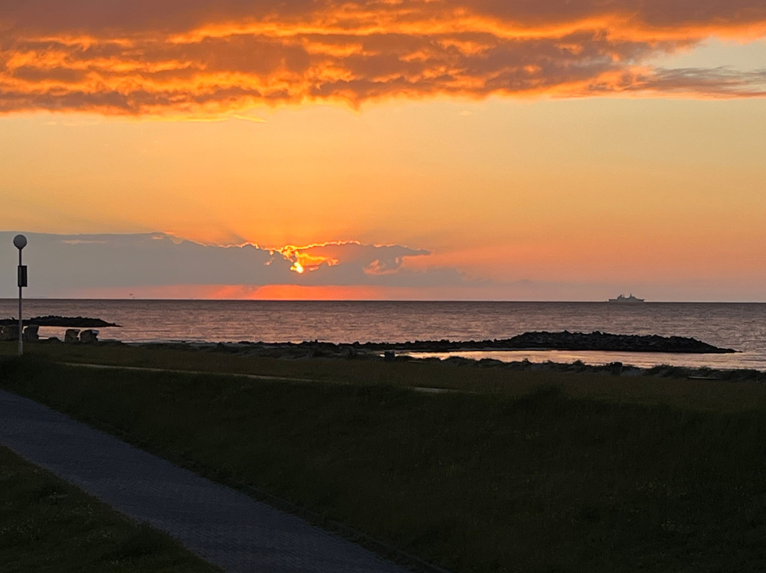 Beach Hotel California主图