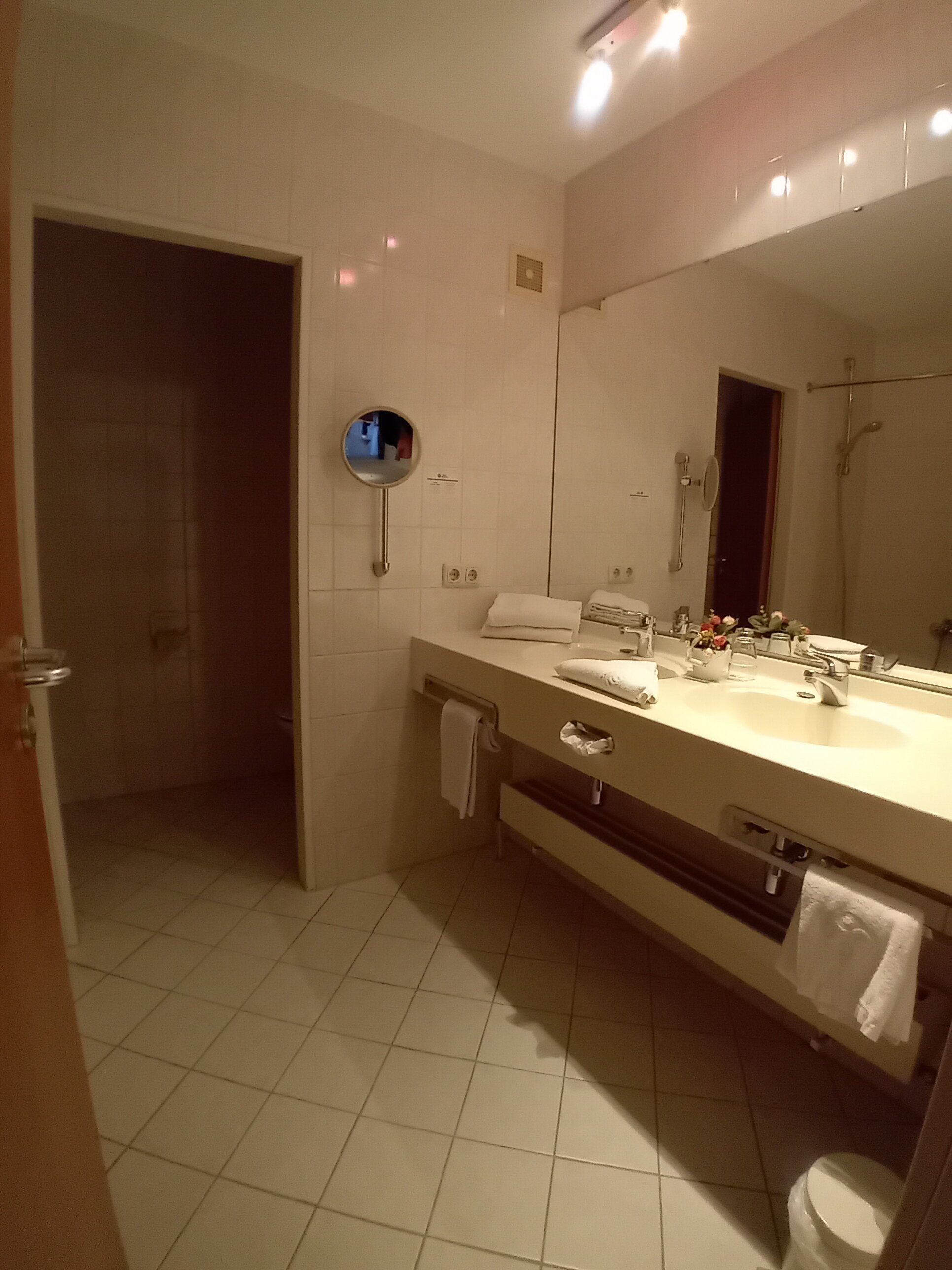Best Western Aparthotel Birnbachhoehe-浴室
