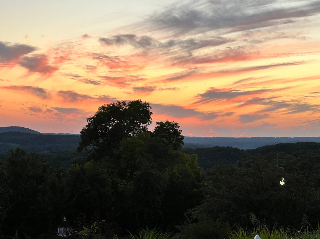 Savannah House Hotel主图