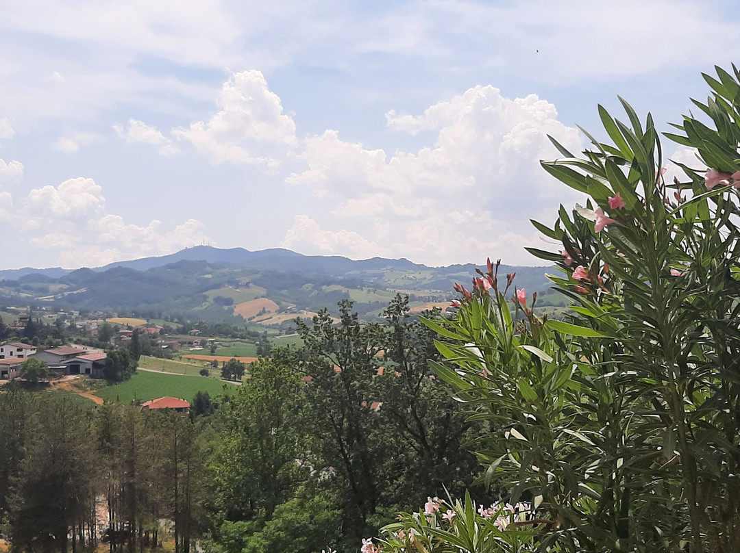 Castello di Scipione dei Marchesi Pallavicino景点图片