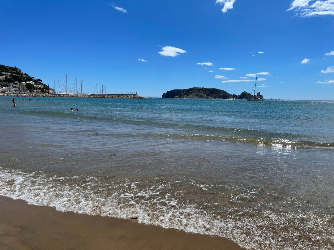 Platja de l'Estartit景点图片