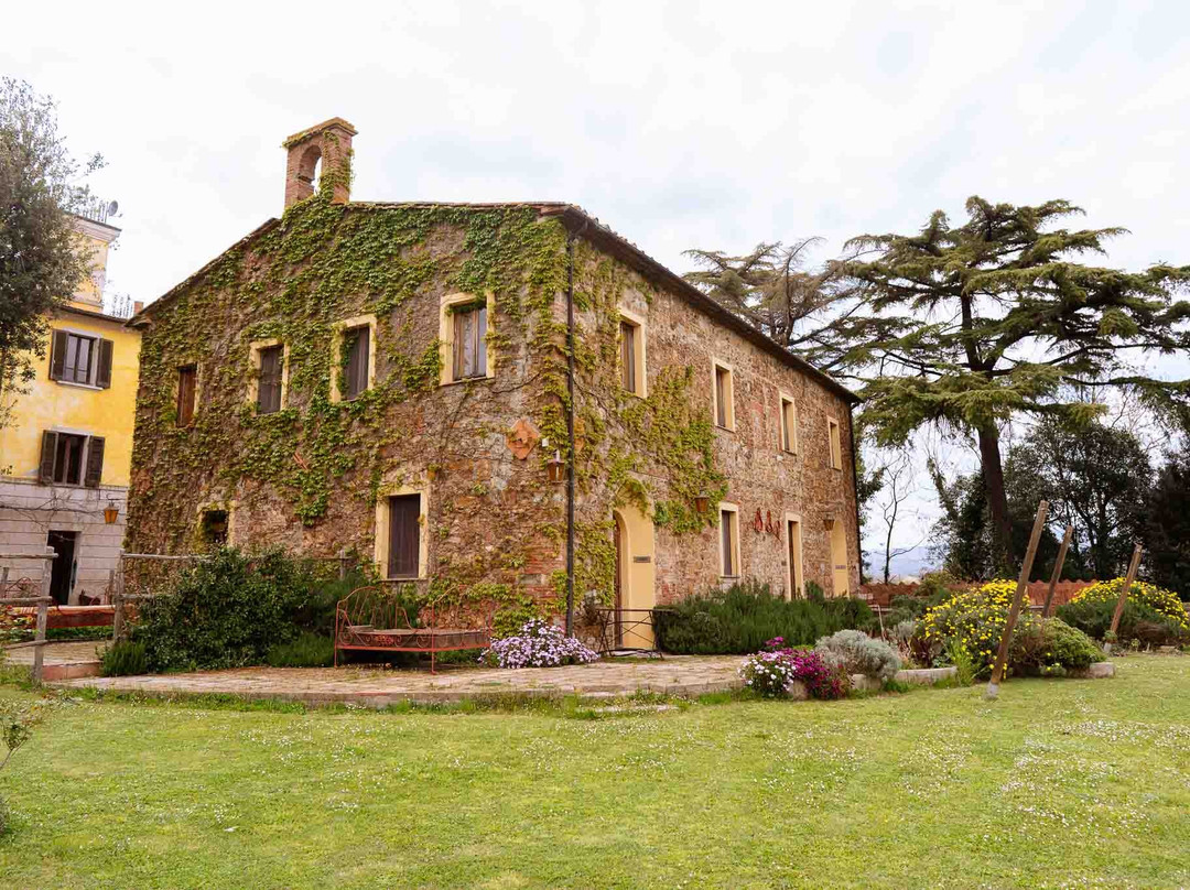 Agriturismo Bio Fattoria Di Pietra主图