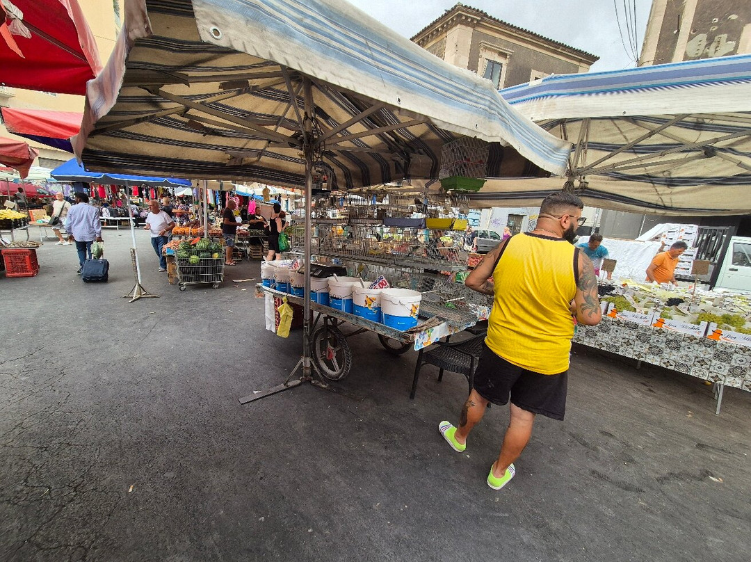 Market Fera O’Luni景点图片