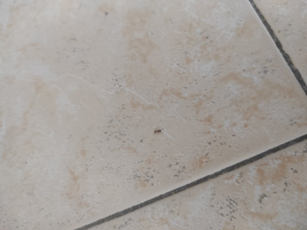 HLL Hotel LungoLago Lecco主图