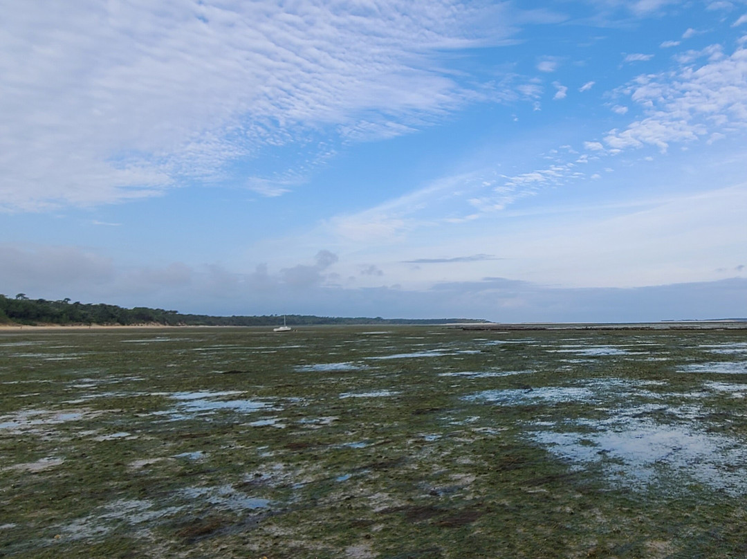Plage de la Cepe景点图片