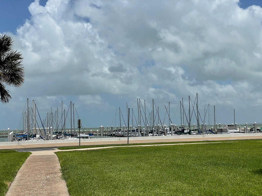 Corpus Christi Downtown Seawall-科珀斯克里斯蒂市必去景点