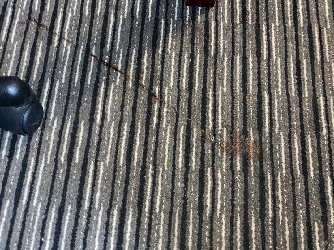 La Quinta Inn & Suites By Wyndham Indianapolis South主图