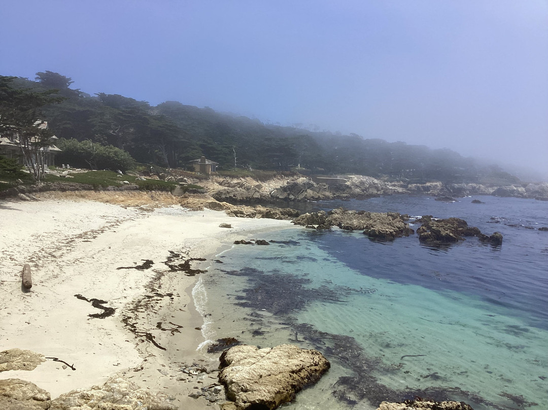 Cypress Point Lookout-圆石滩必去景点