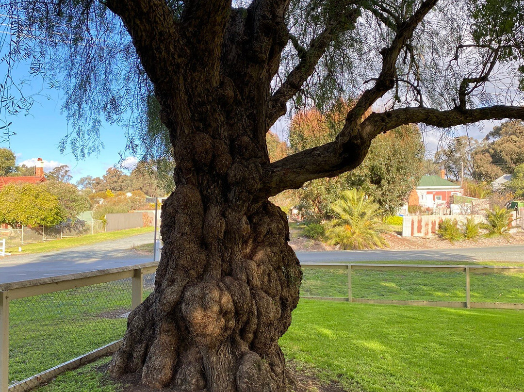Geyle Reserve Playground-拉什沃思必去景点