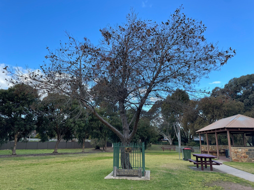 Rushworth Lions Club Federation Park-拉什沃思必去景点