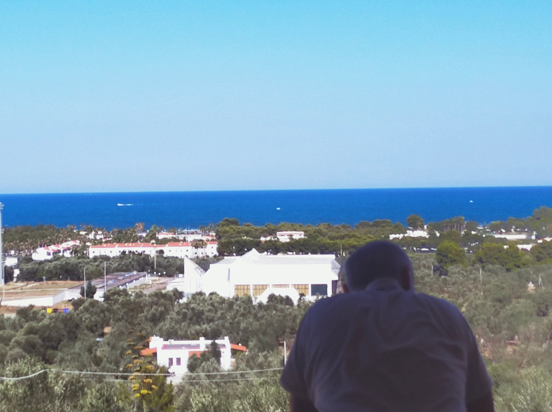 Residence Torre Silvana主图