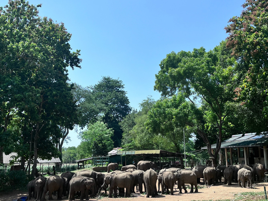 ChamiTours Hambantota-Hambantota必去景点