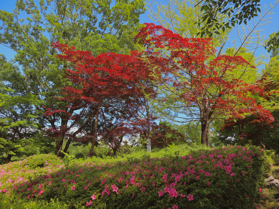 Honai Park-三条市必去景点
