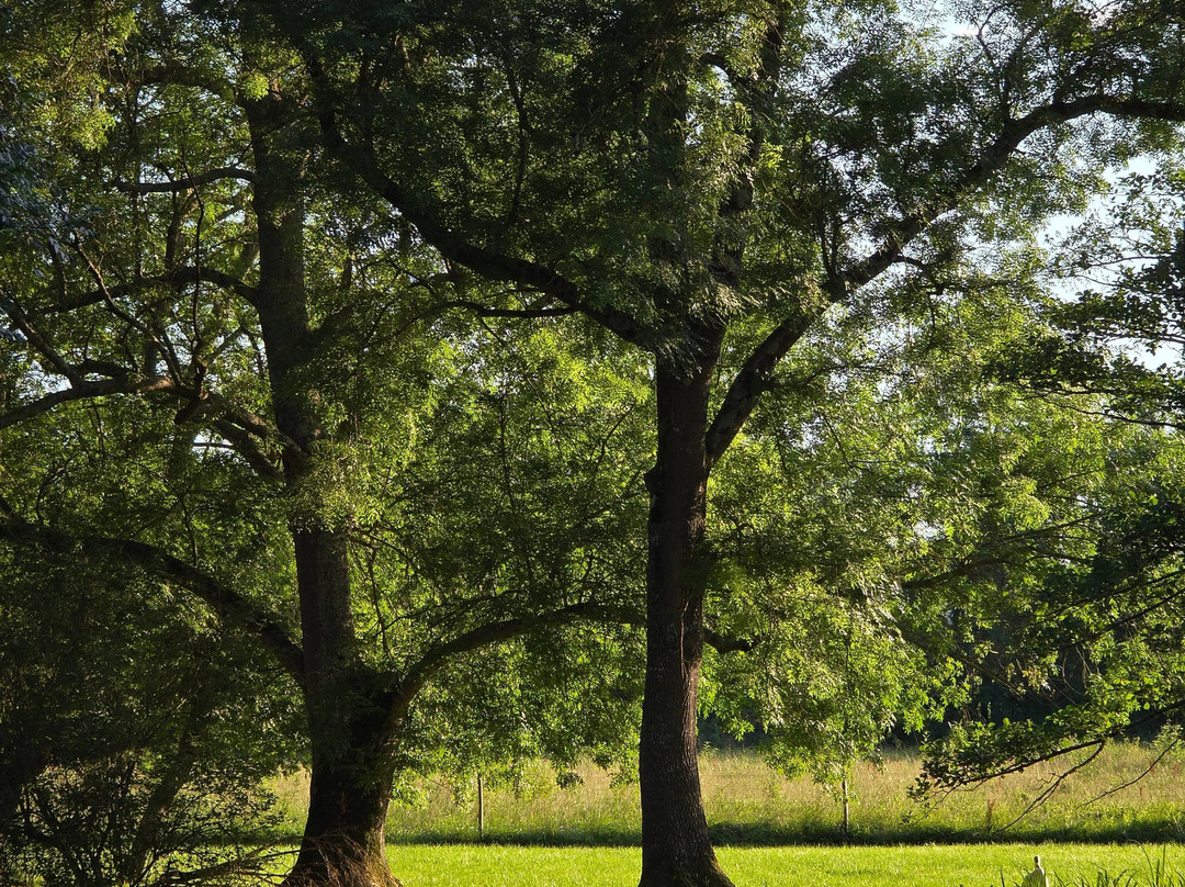 Hotel Du Moulin Du Val De Seugne主图