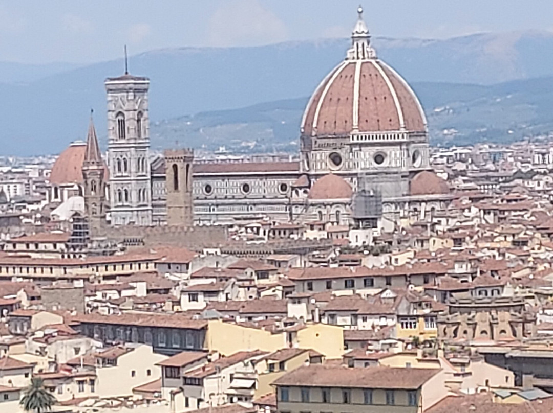 Norcenni Girasole Tours & Experiences-佛罗伦萨必去景点