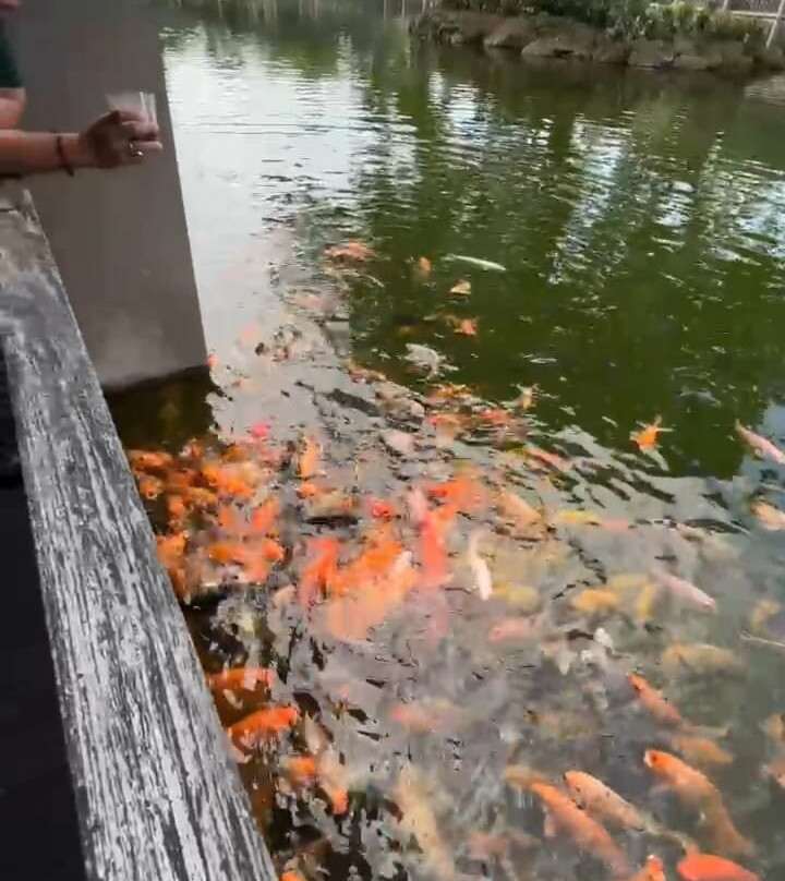 The Westlake Resort Yogyakarta主图