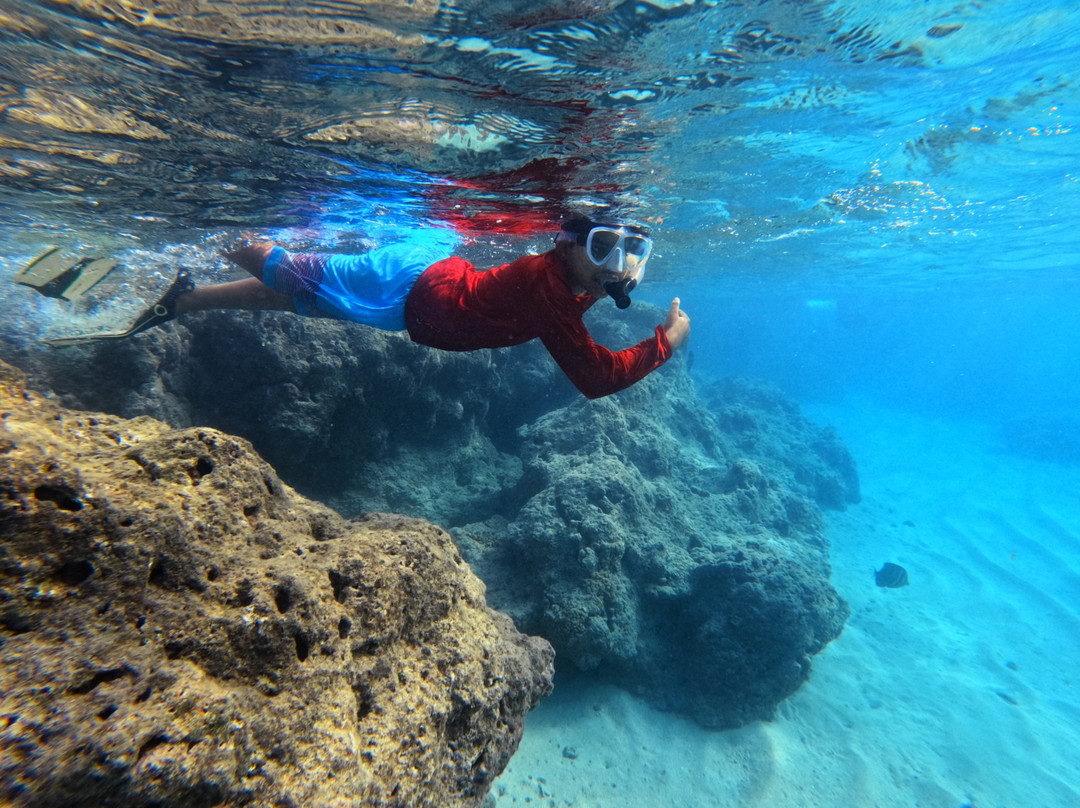 Pure Aloha Adventures-火奴鲁鲁必去景点