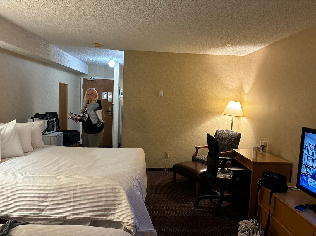 Stony Plain Inn & Suites主图