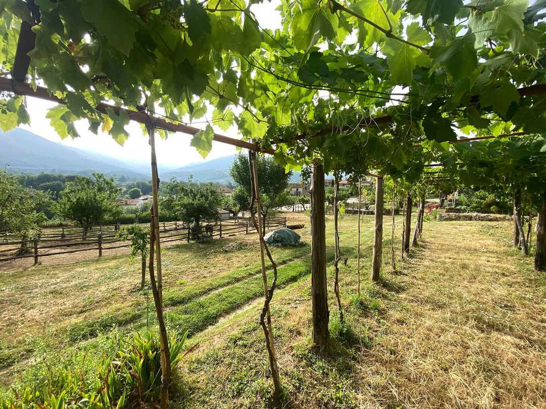 Azienda Agricola Donna Clara景点图片