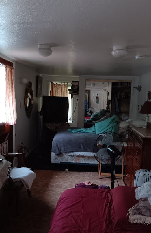 Redwoods Haus Bed and Breakfast主图