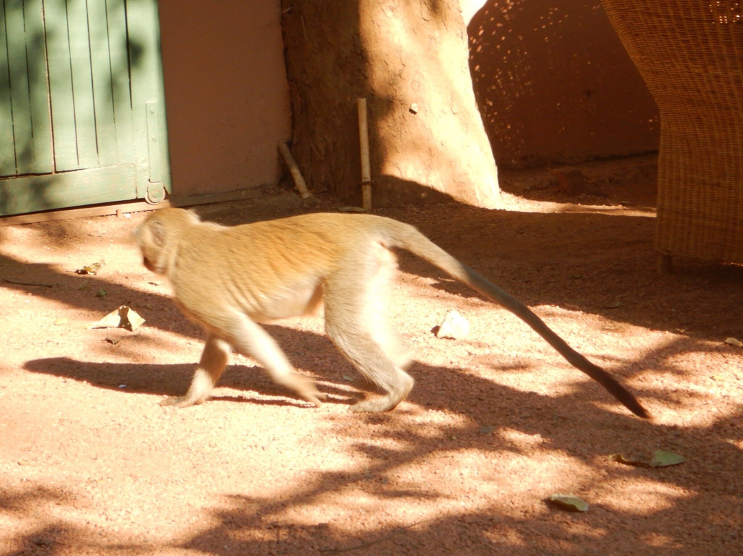 Lilongwe Wildlife Centre-里朗威必去景点