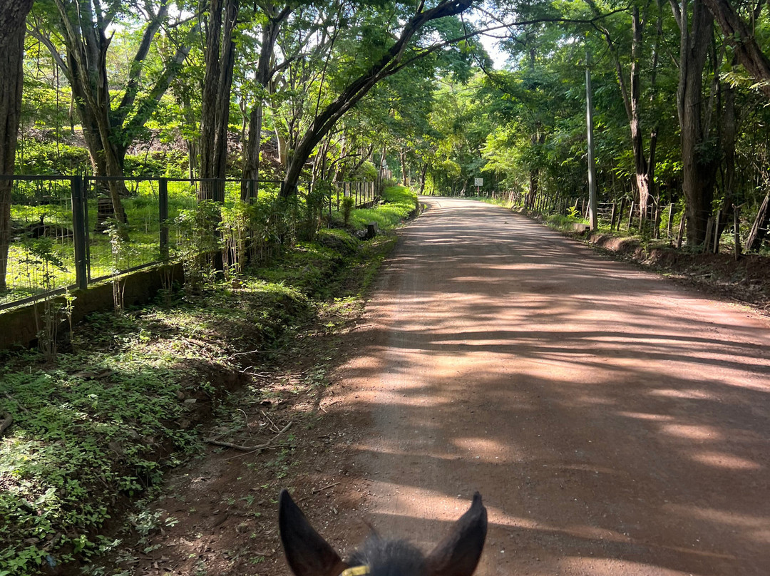 Riding Escapes景点图片