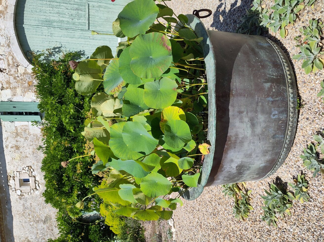 Les Jardins de Sardy景点图片